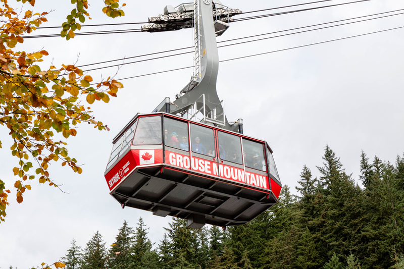 Illustration for article titled Pics from the (Mountain)side: 2016-10-10 at Grouse Mountain